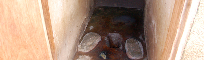 Pit Latrines: A Public Health Concern in Africa